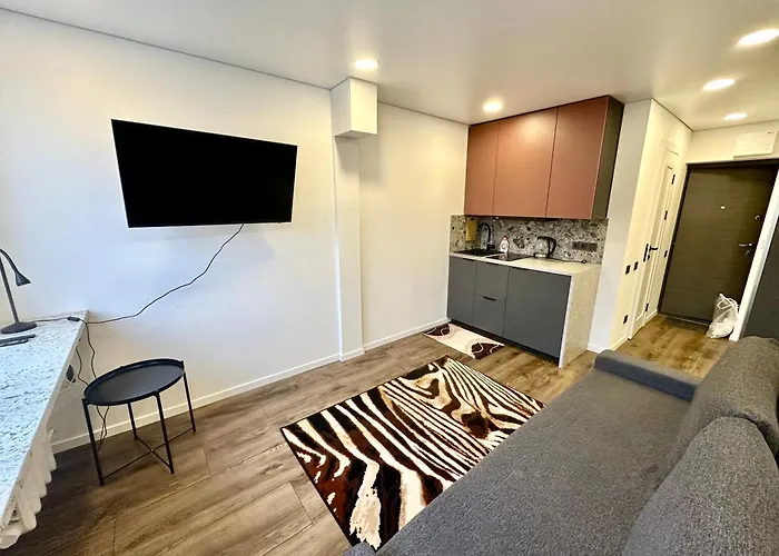 Hotell комфортная современная студия в центре Vilnius
