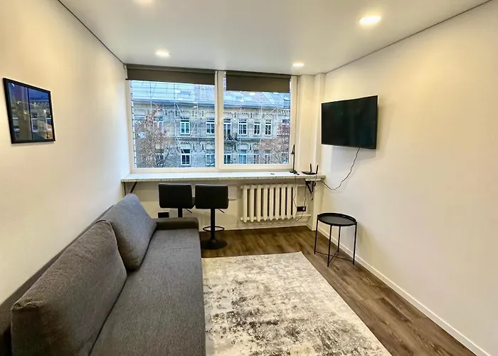 комфортная современная студия в центре 4* Vilnius