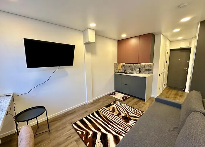 Hotel комфортная современная студия в центре