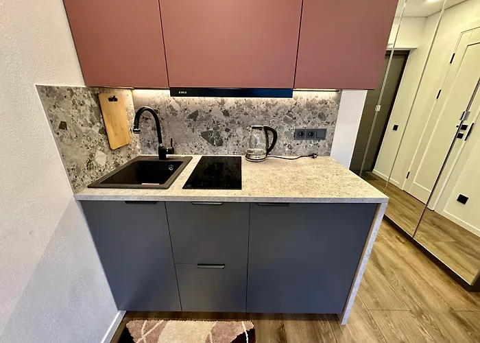 комфортная современная студия в центре Vilnius