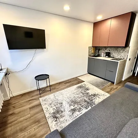 Hotel комфортная современная студия в центре Vilnius