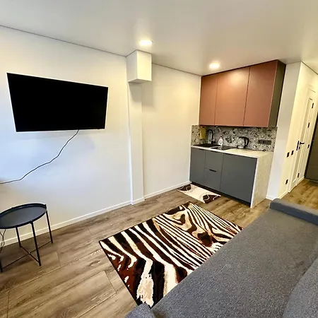 Hotel комфортная современная студия в центре Vilnius