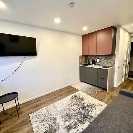 комфортная современная студия в центре