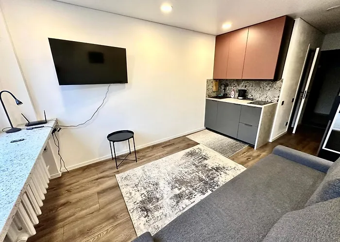 Hotel комфортная современная студия в центре Vilnius