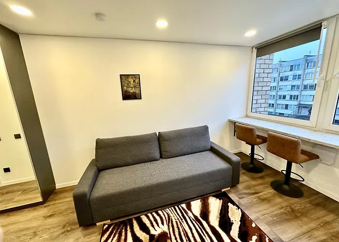 комфортная современная студия в центре 4* Vilnius